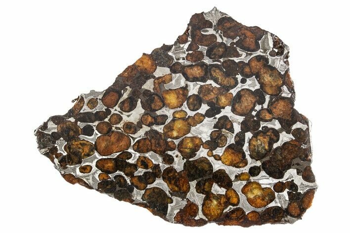 Polished Sericho Pallasite Meteorite ( g) Slice - Kenya #300776